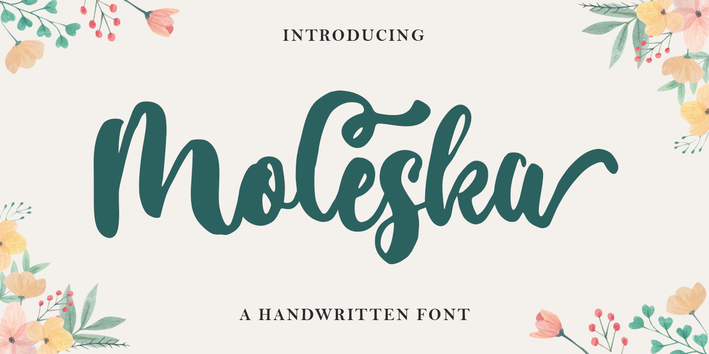 Font Moleska